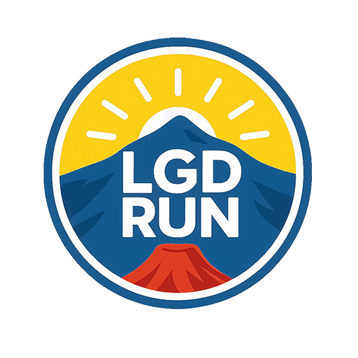 lgdrun.com